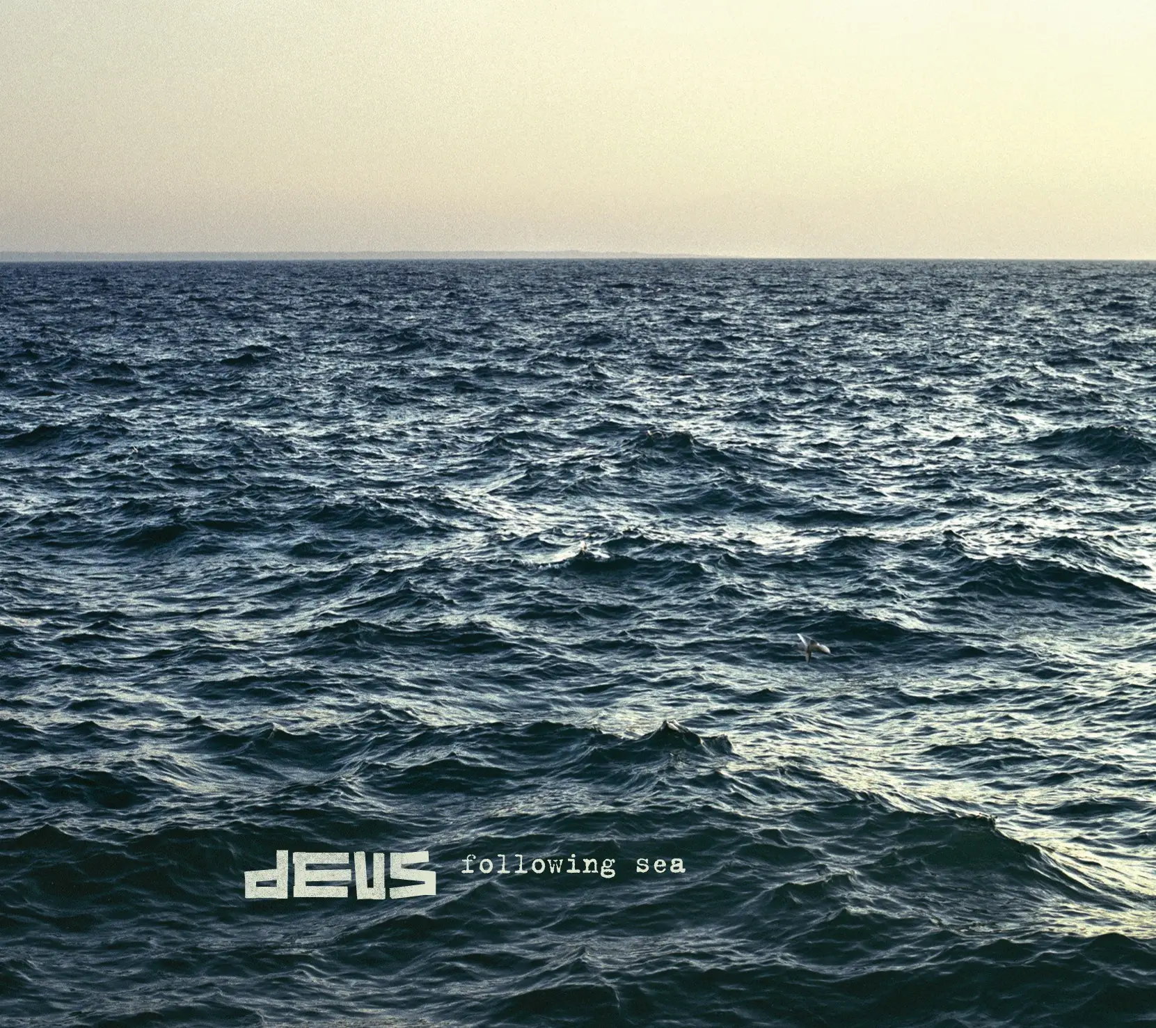 dEUS - Following Sea artwork
