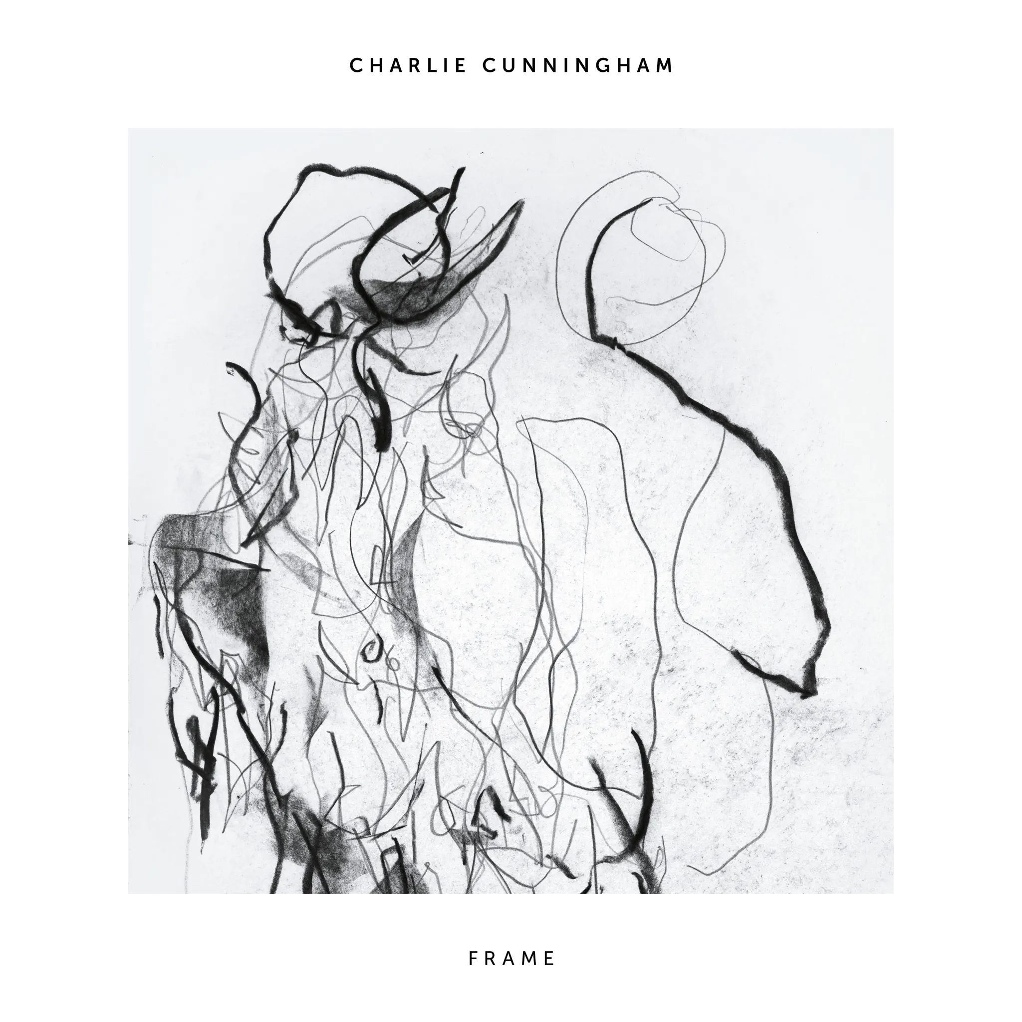 <strong>Charlie Cunningham - Frame</strong> (Vinyl LP - grey)