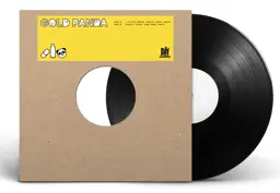<strong>Gold Panda - I've Felt Better (Daniel Avery Remix) / Plastic Future (Skee Mask Remix)</strong> (Vinyl 12 - black)