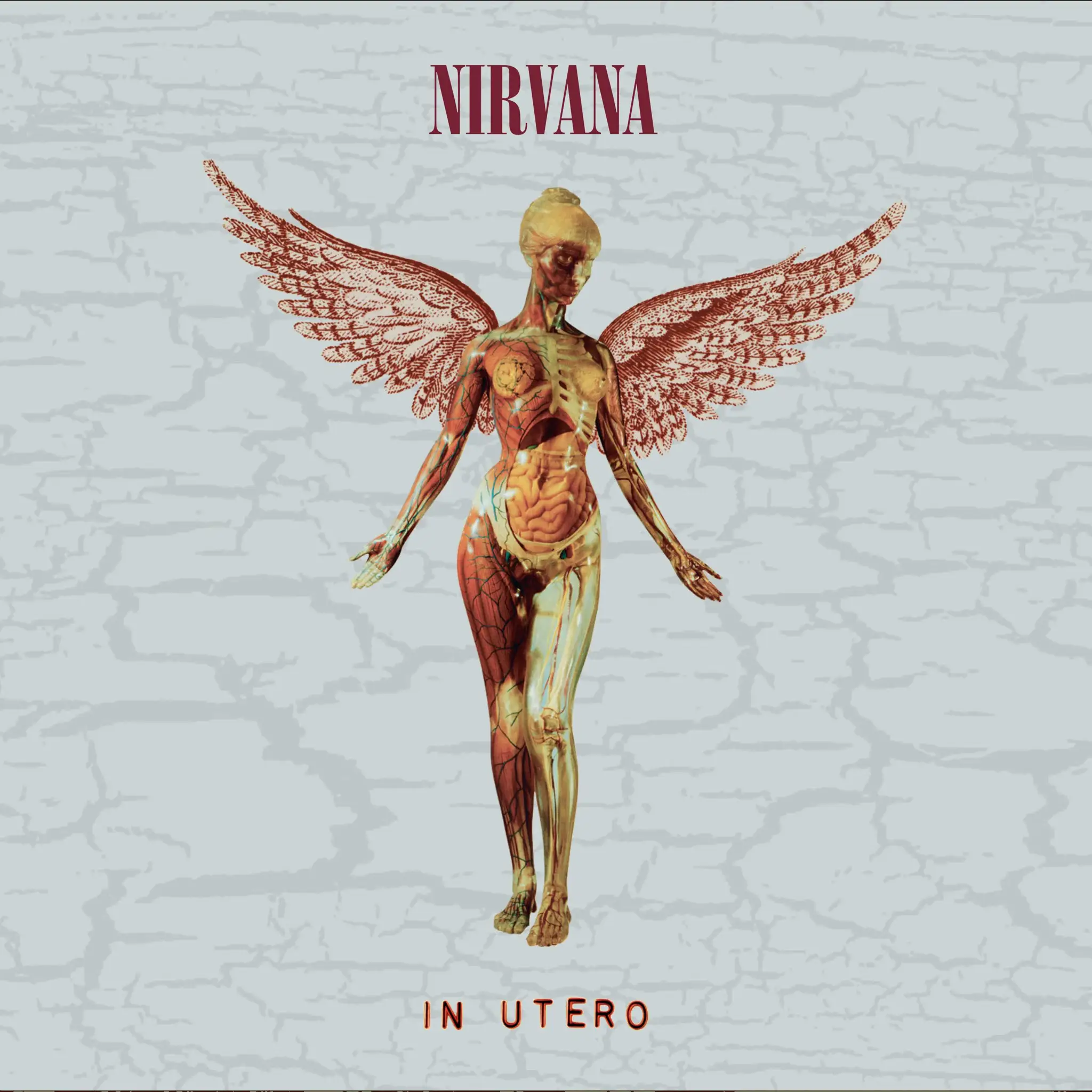 <strong>Nirvana - In Utero (30th Anniversary)</strong> (Cd)