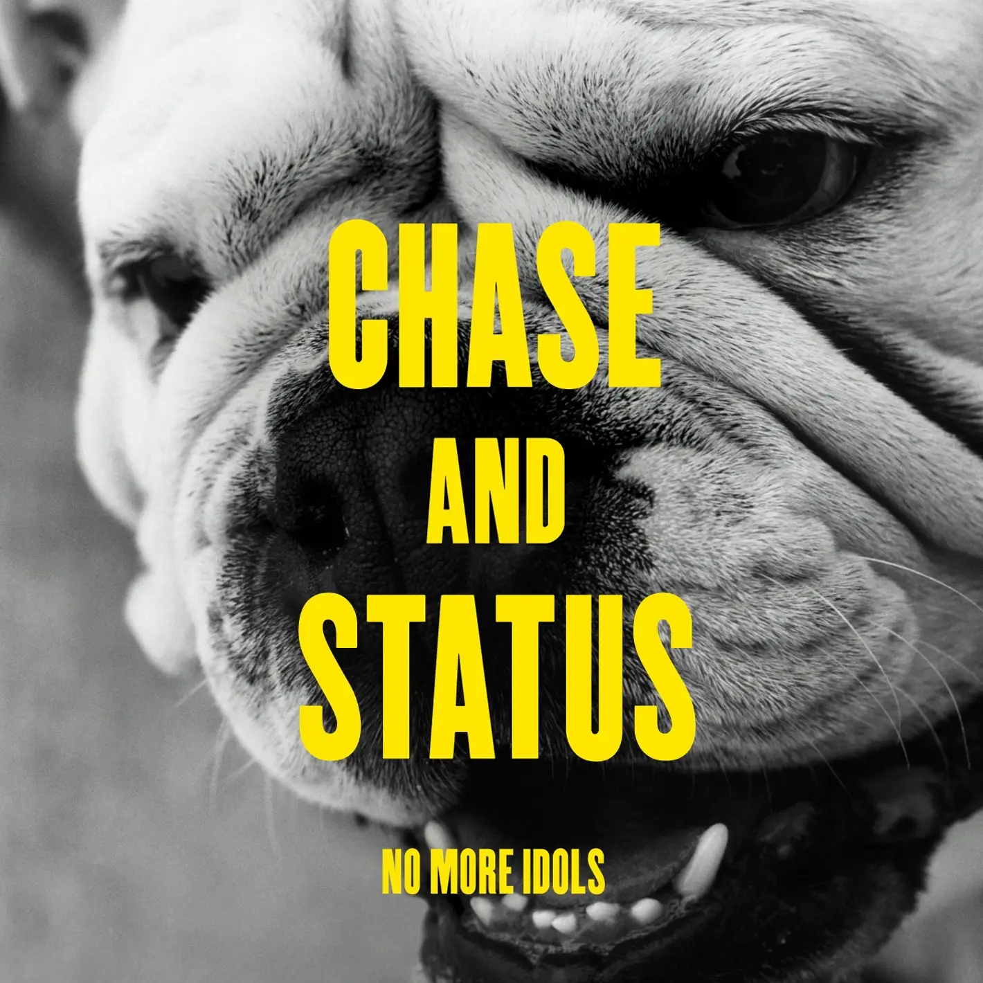 Chase and Status | Yellow 2xVinyl LP | No More Idols | 