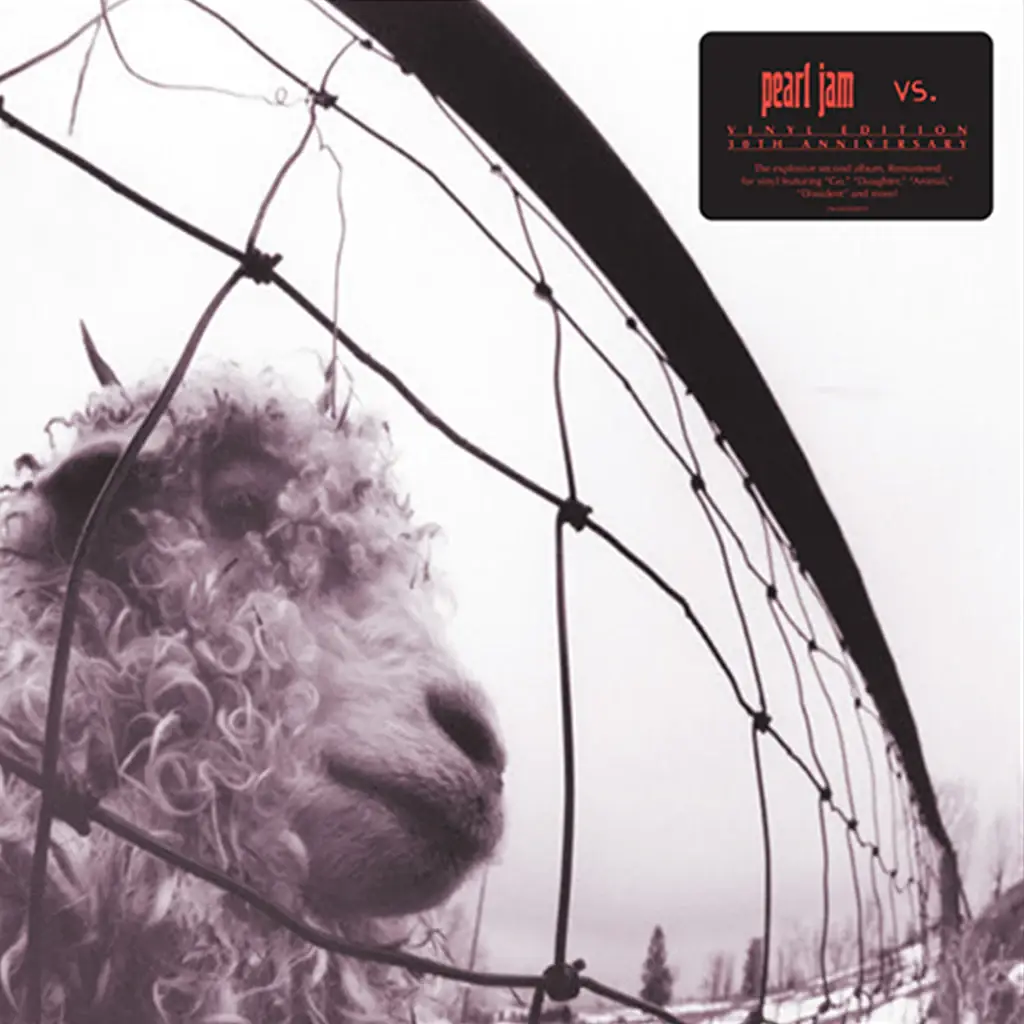 <strong>Pearl Jam - Vs: 30th Anniversary Edition</strong> (Vinyl LP - clear)