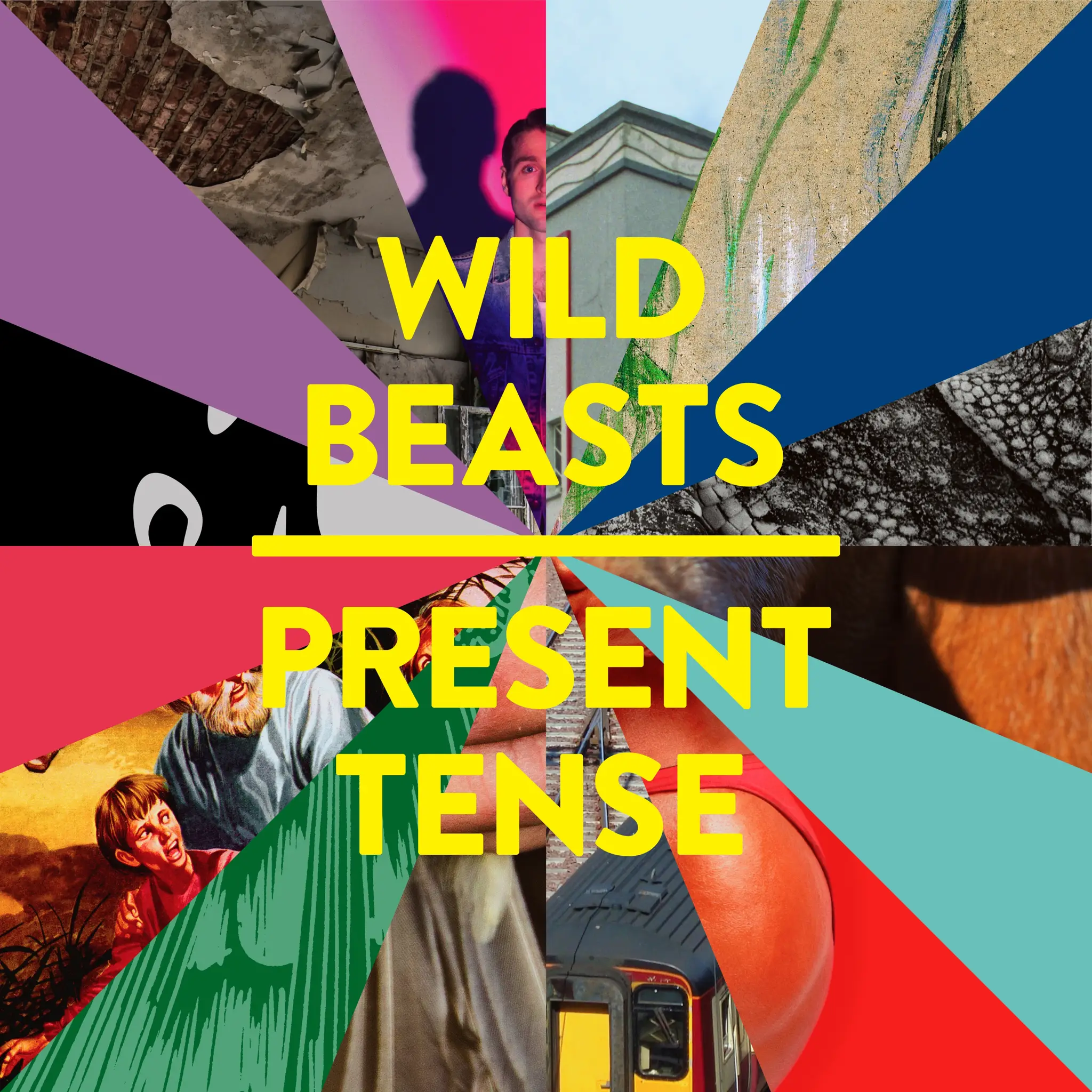 <strong>Wild Beasts - Present Tense</strong> (Vinyl LP - black)