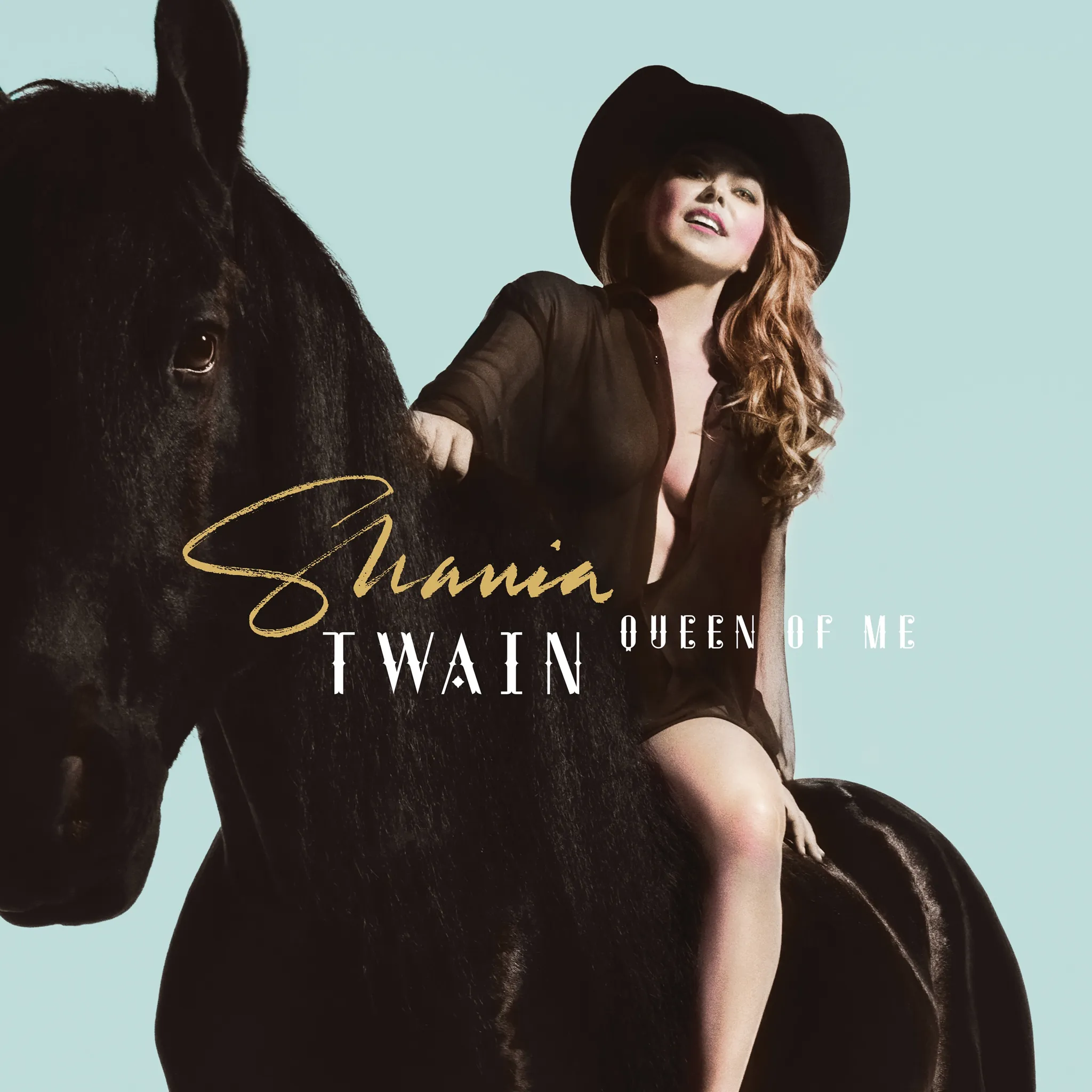 <strong>Shania Twain - Queen Of Me</strong> (Vinyl LP - black)