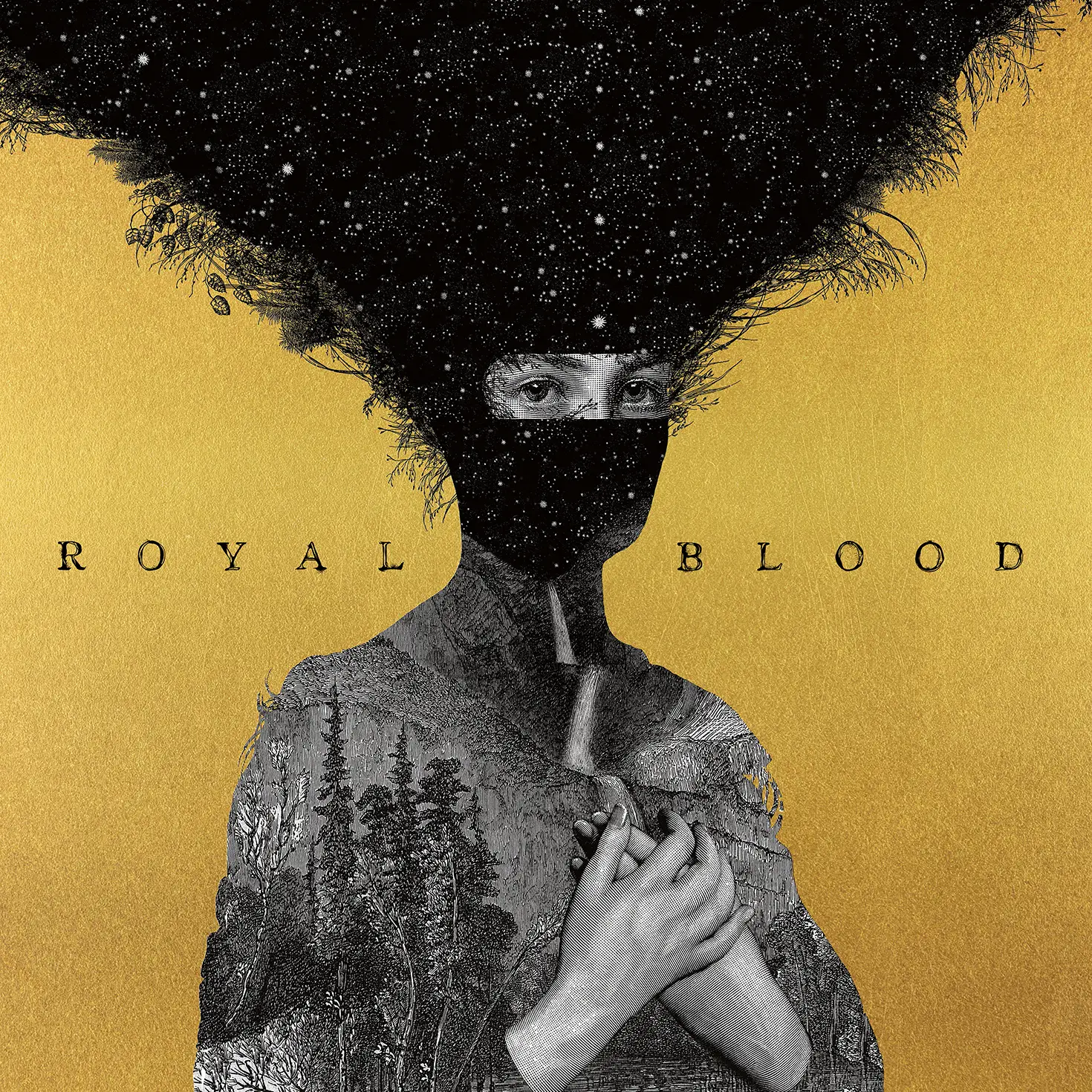 <strong>Royal Blood - Royal Blood 10th Anniversary Edition</strong> (Vinyl LP - gold)