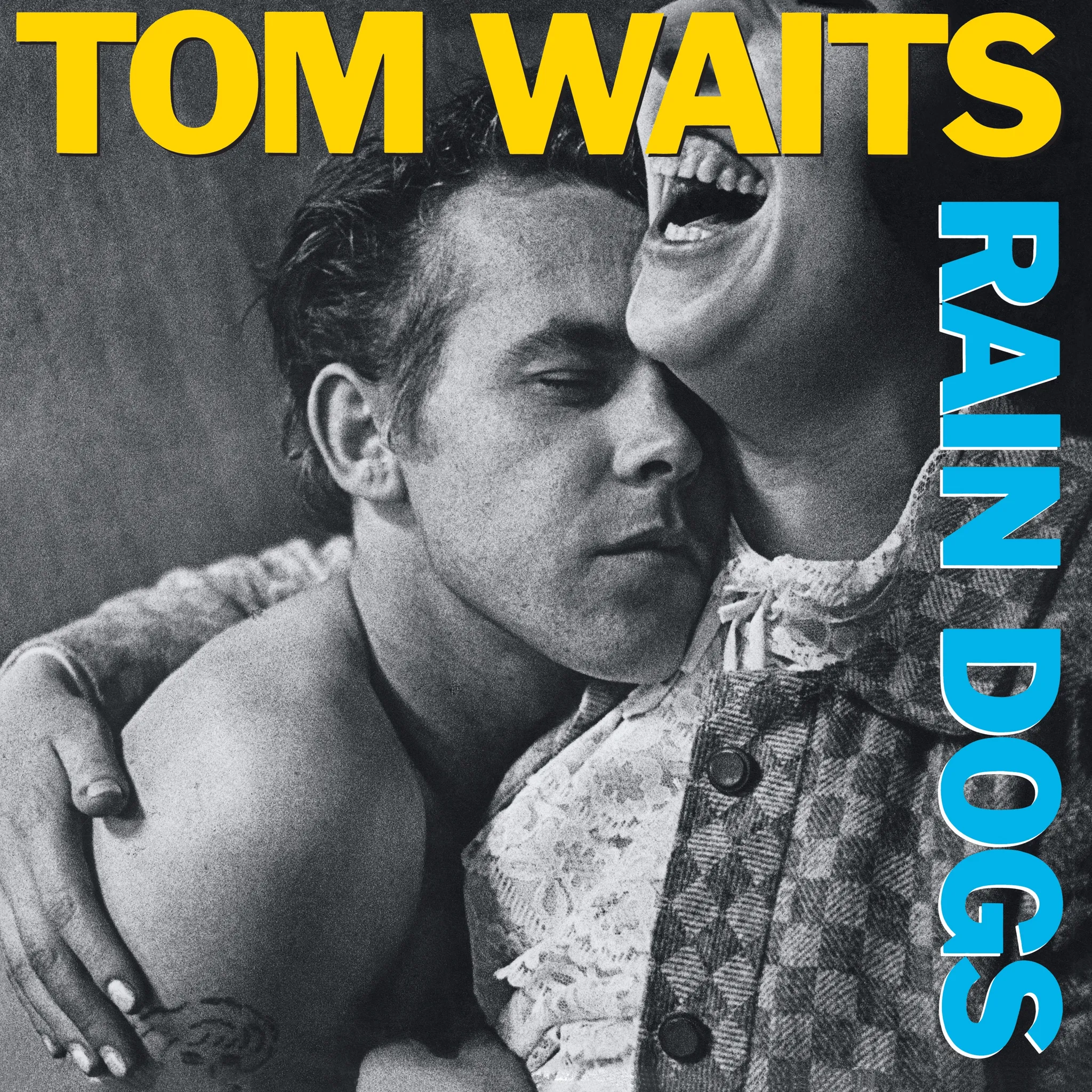 <strong>Tom Waits - Rain Dogs</strong> (Vinyl LP - black)