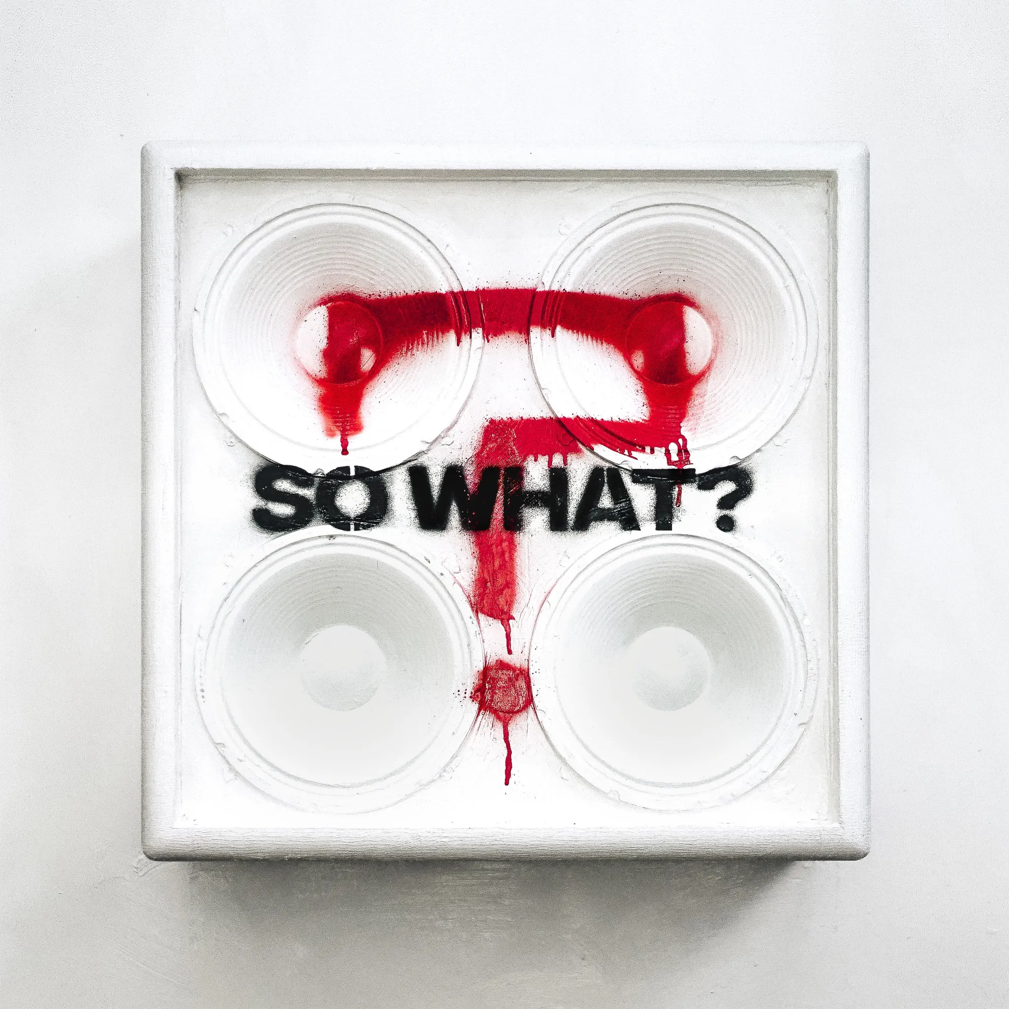 <strong>While she sleeps - So What?</strong> (Vinyl LP - red)