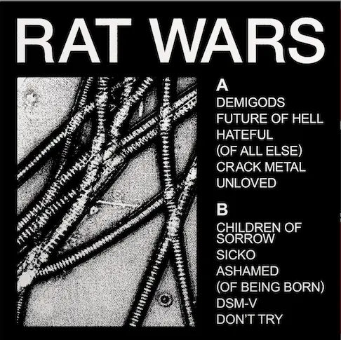 <strong>Health - Rat Wars</strong> (Vinyl LP - black)