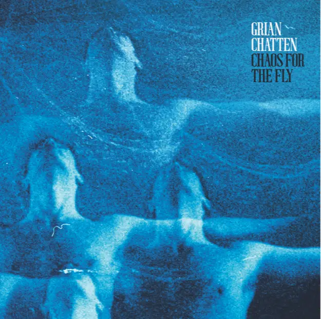 <strong>Grian Chatten - Chaos For the Fly</strong> (Vinyl LP - white)