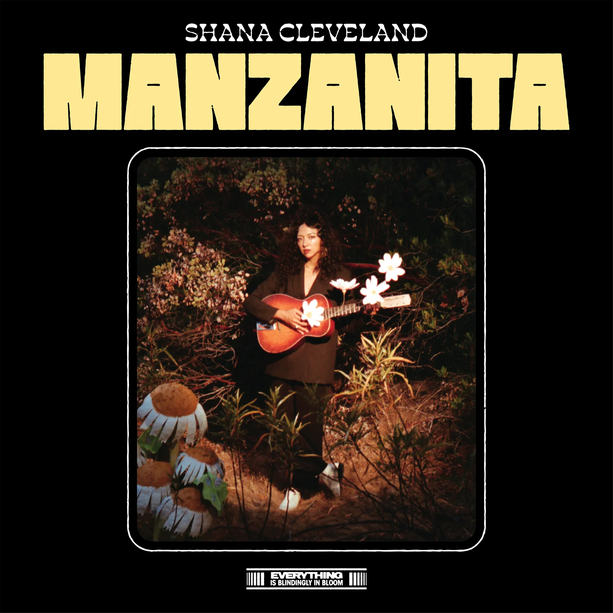 <strong>Shana Cleveland - Manzanita</strong> (Vinyl LP - red)