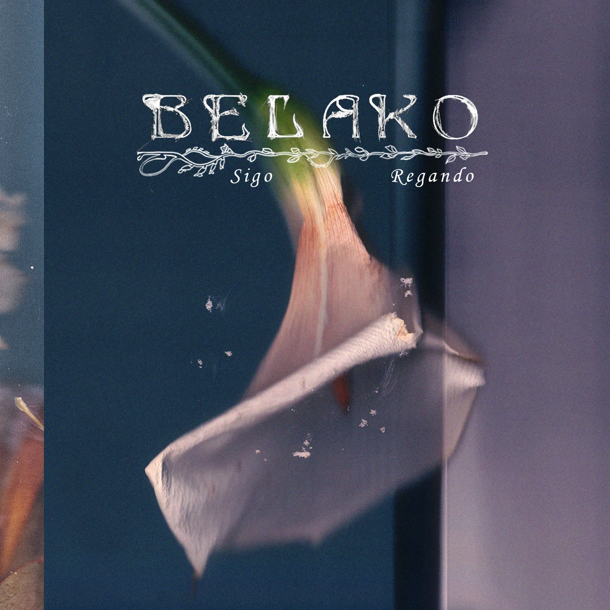 Belako - Sigo Regando artwork