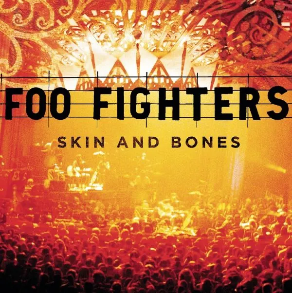 Foo Fighters - Skin And Bones artwork