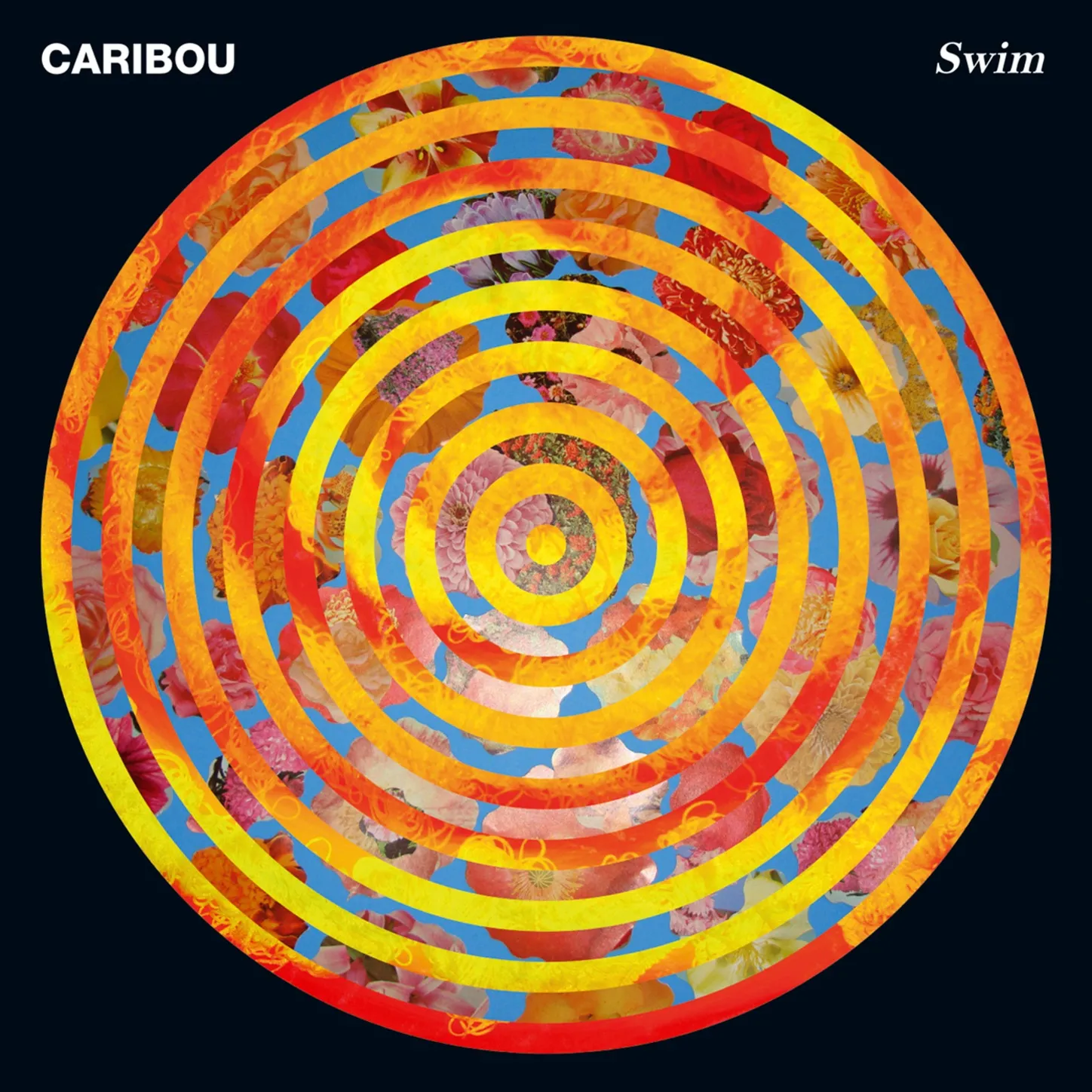 <strong>Caribou - Swim</strong> (Vinyl LP - black)