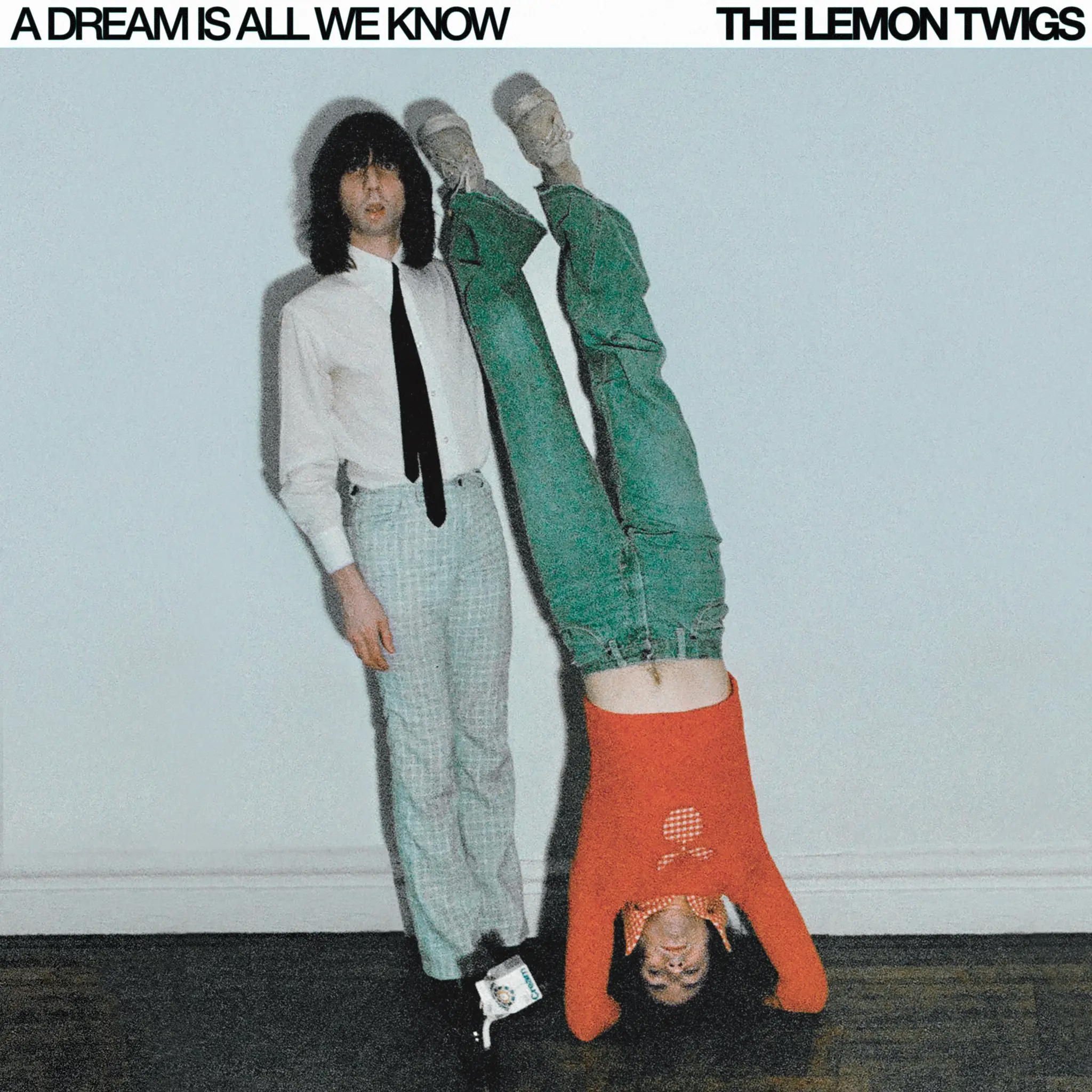 <strong>The Lemon Twigs - A Dream Is All We Know</strong> (Vinyl LP - white)