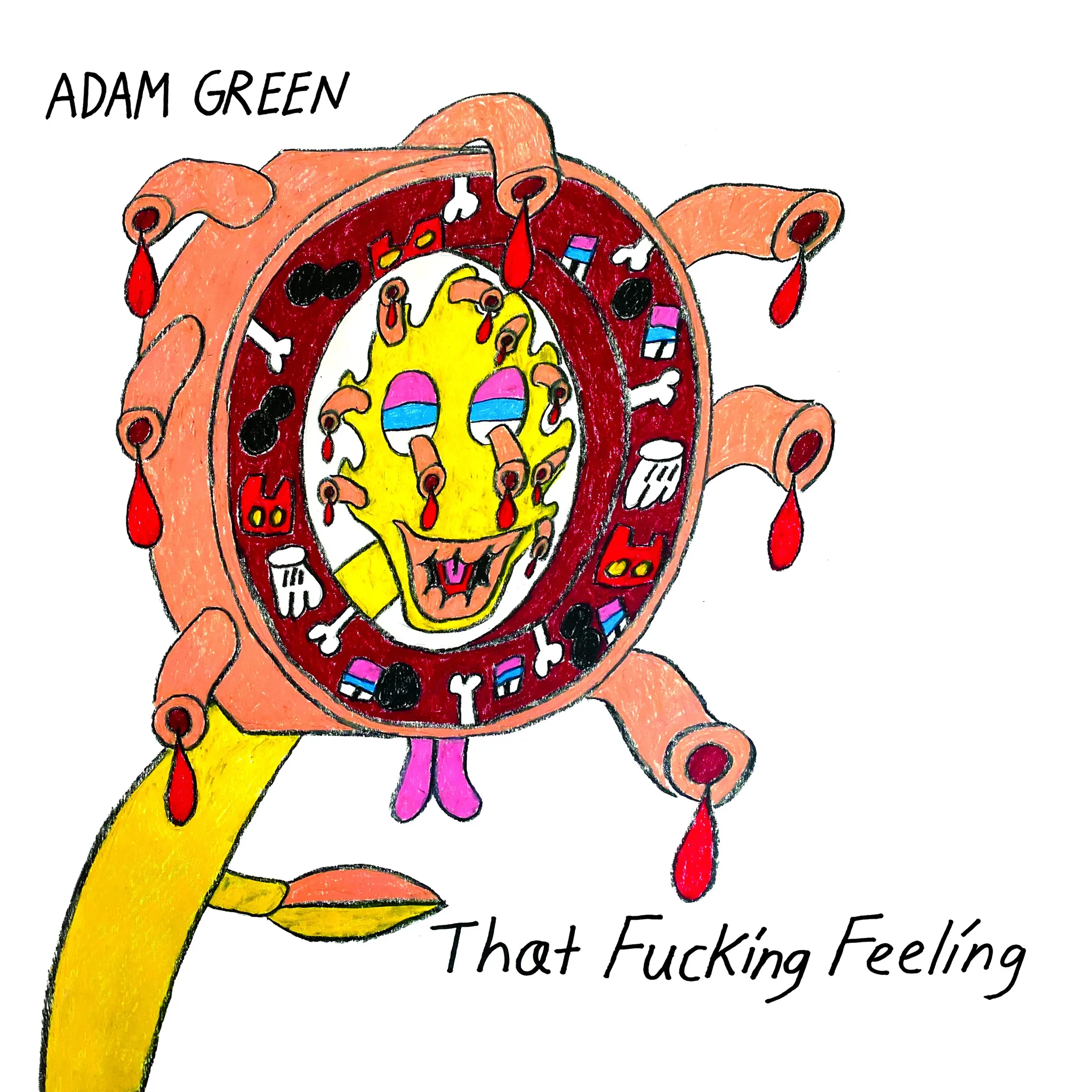 <strong>Adam Green - That Fucking Feeling</strong> (Vinyl LP - black)