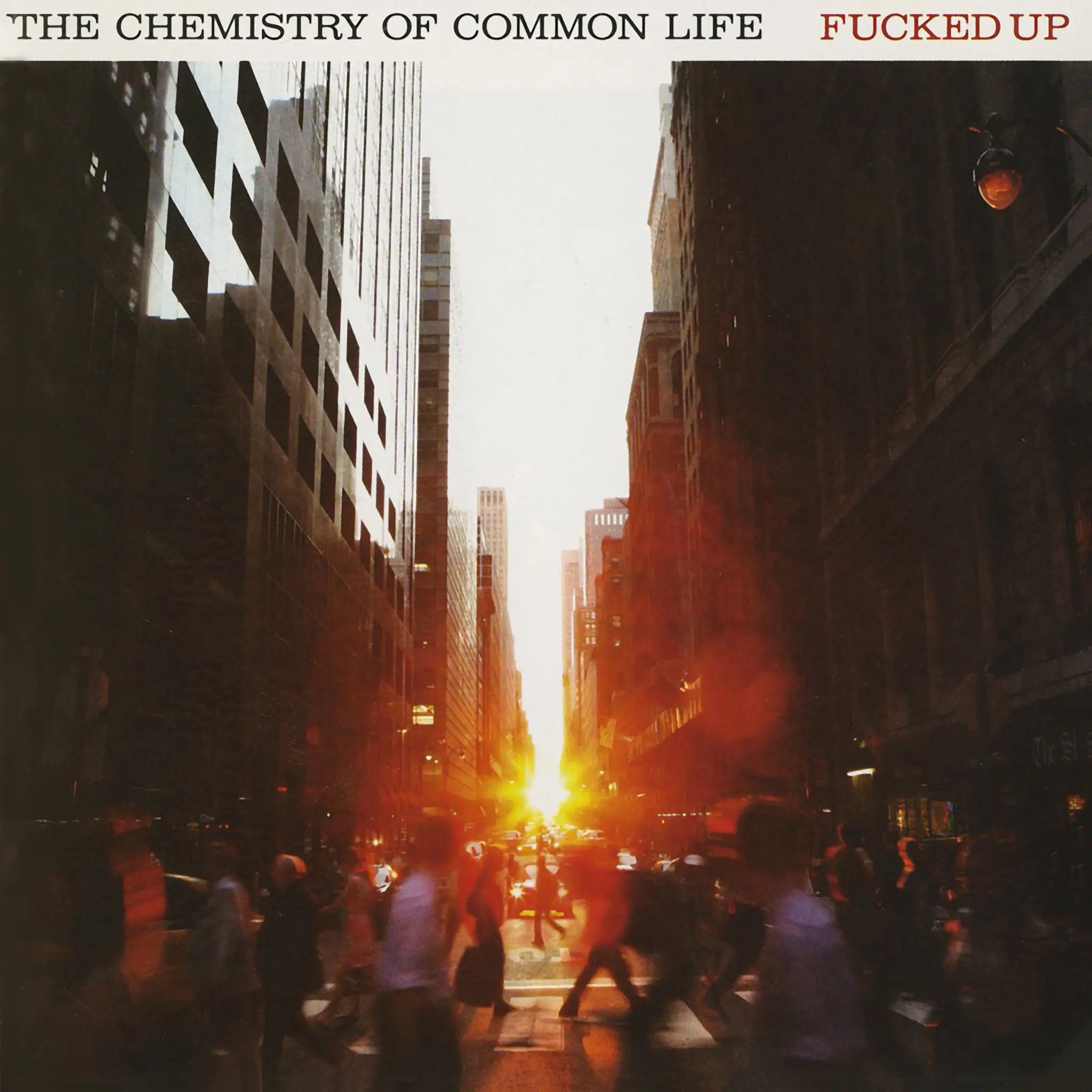 Buy The Chemistry Of Common Life via Rough Trade