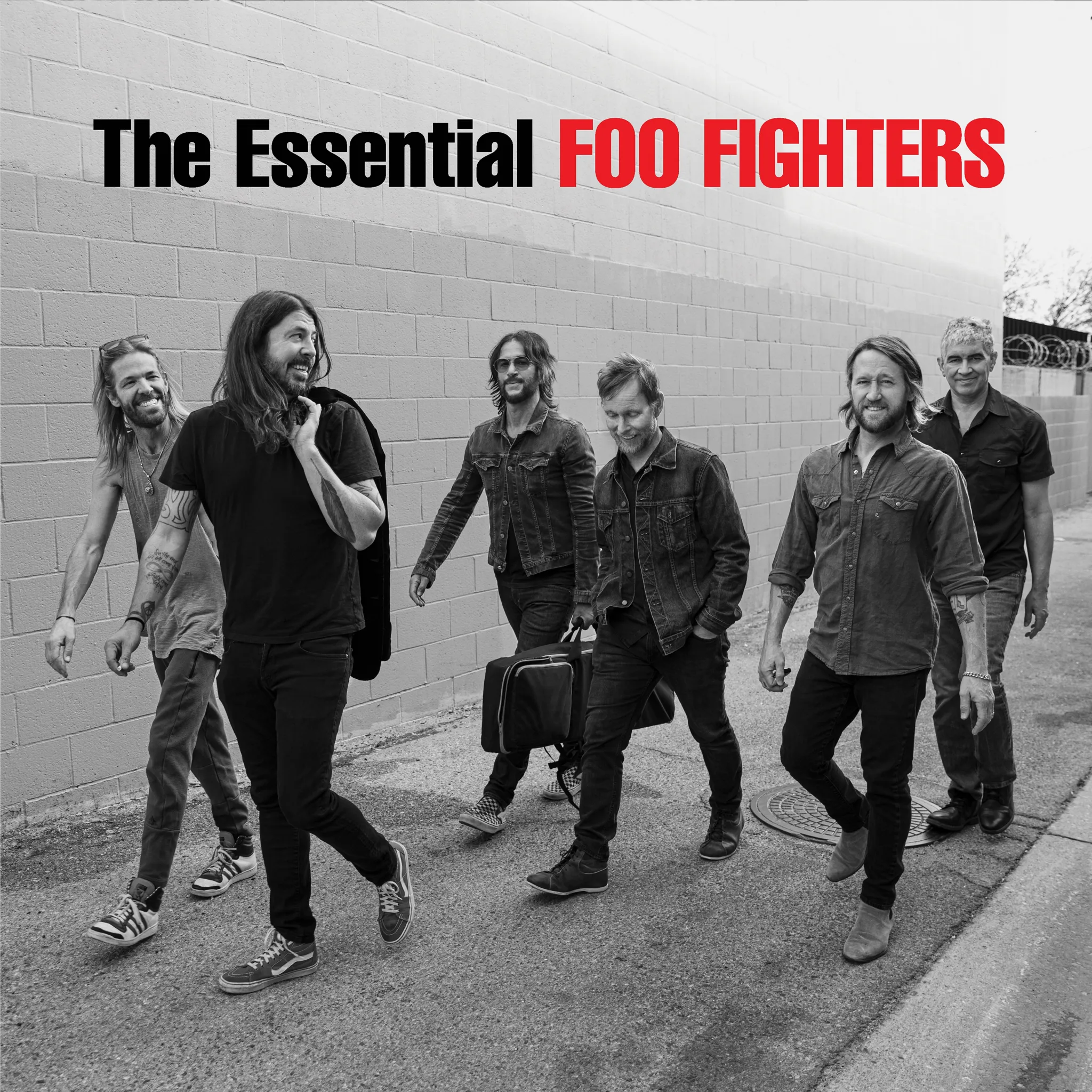 Foo Fighters - The Essential Foo Fighters artwork