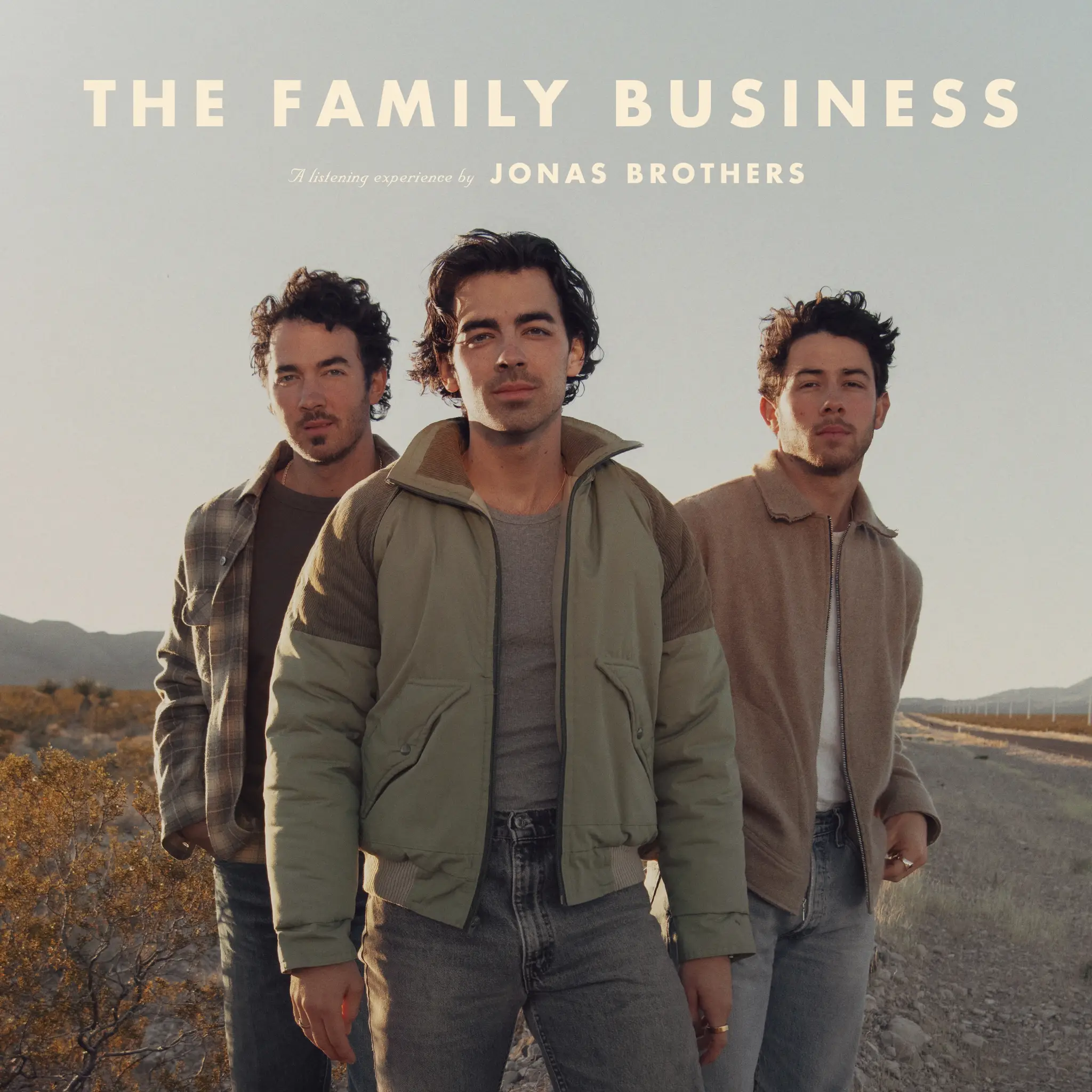 <strong>The Jonas Brothers - The Family Business</strong> (Cd)