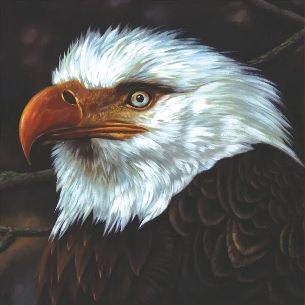 Mogwai - The Hawk Is Howling artwork