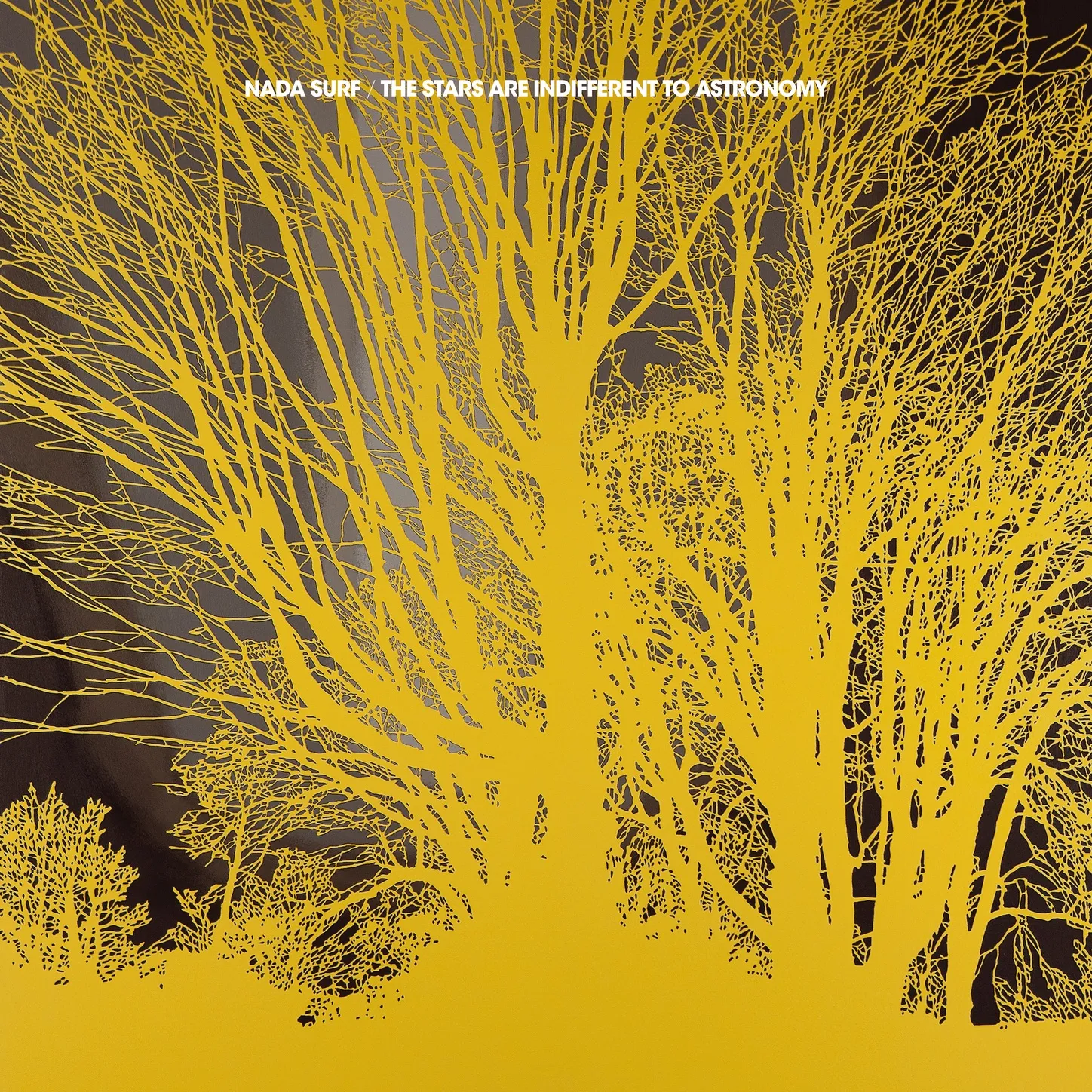 <strong>Nada Surf - The Stars Are Indifferent To Astronomy</strong> (Vinyl LP - black)