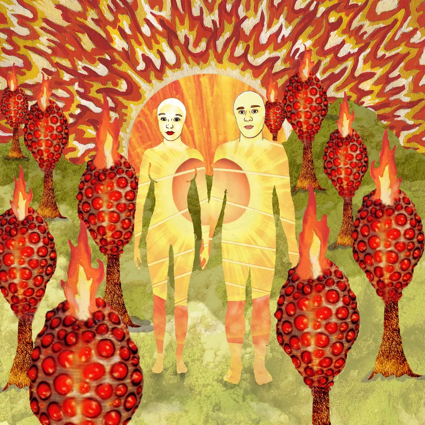 <strong>Of Montreal - The Sunlandic Twins</strong> (Vinyl LP - red)