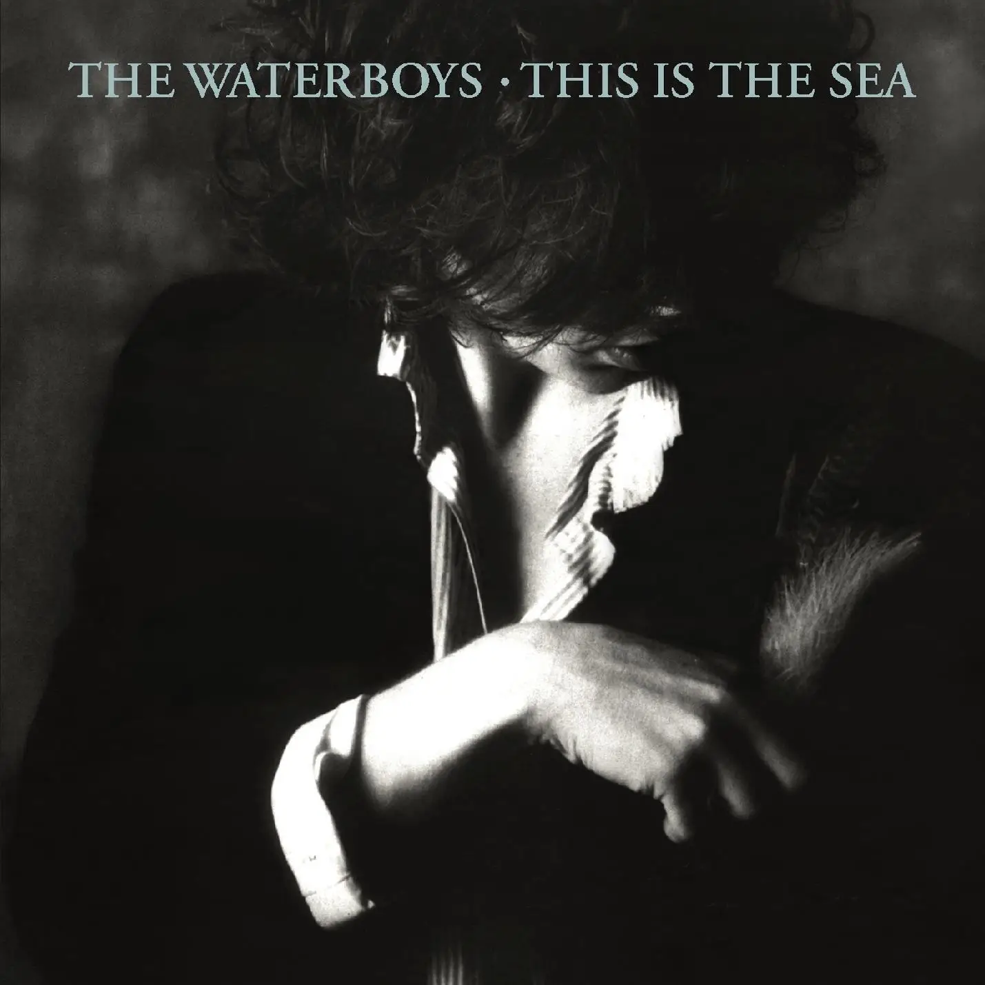 <strong>The Waterboys - This is the Sea</strong> (Vinyl LP - clear)