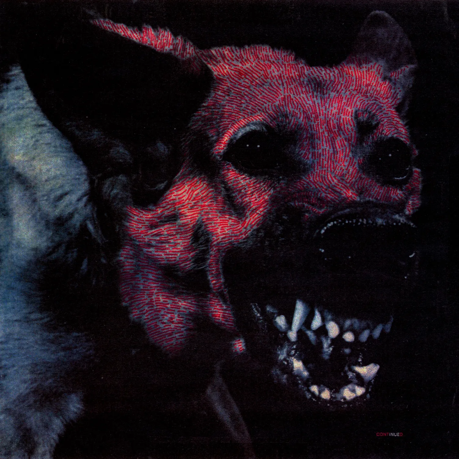 <strong>Protomartyr - Under Color of Official Right</strong> (Cd)
