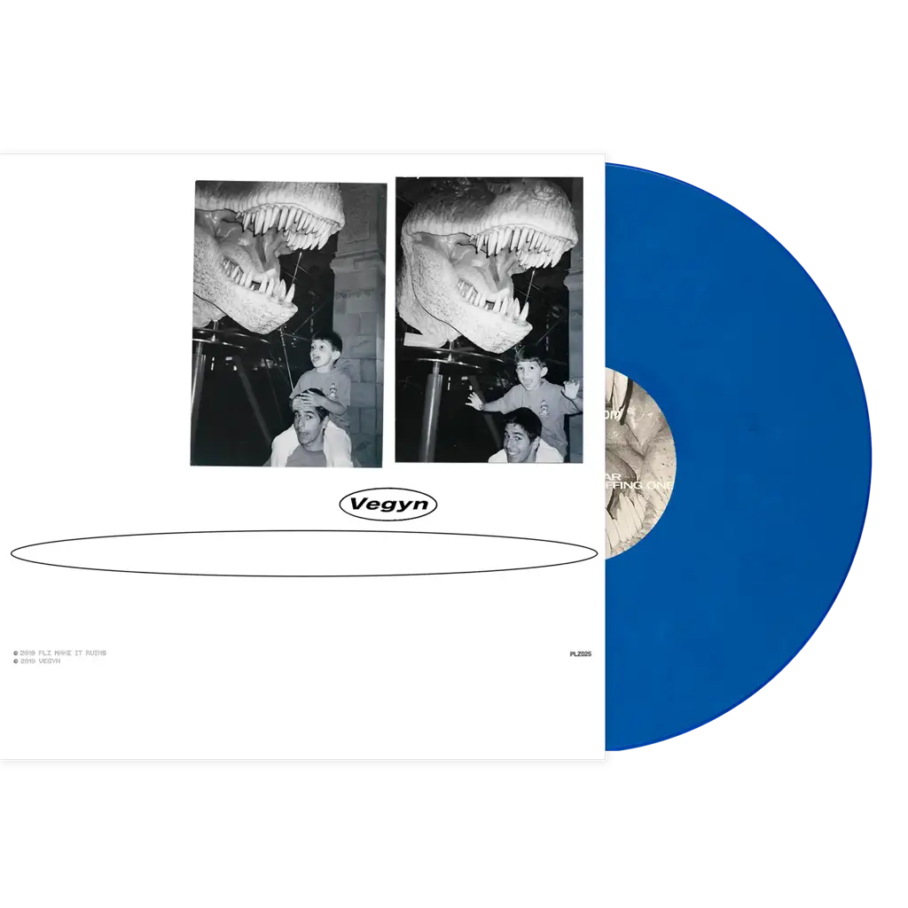 Vegyn - Only Diamonds Cut Diamonds - (Vinyl LP) | Rough Trade