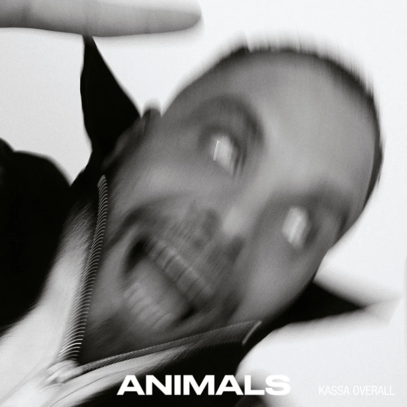 <strong>Kassa Overall - Animals</strong> (Vinyl LP - clear)