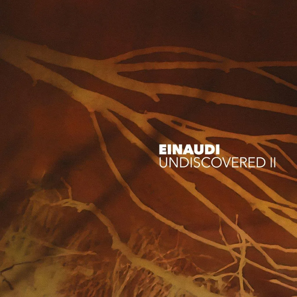 Vinyl – Ludovico Einaudi