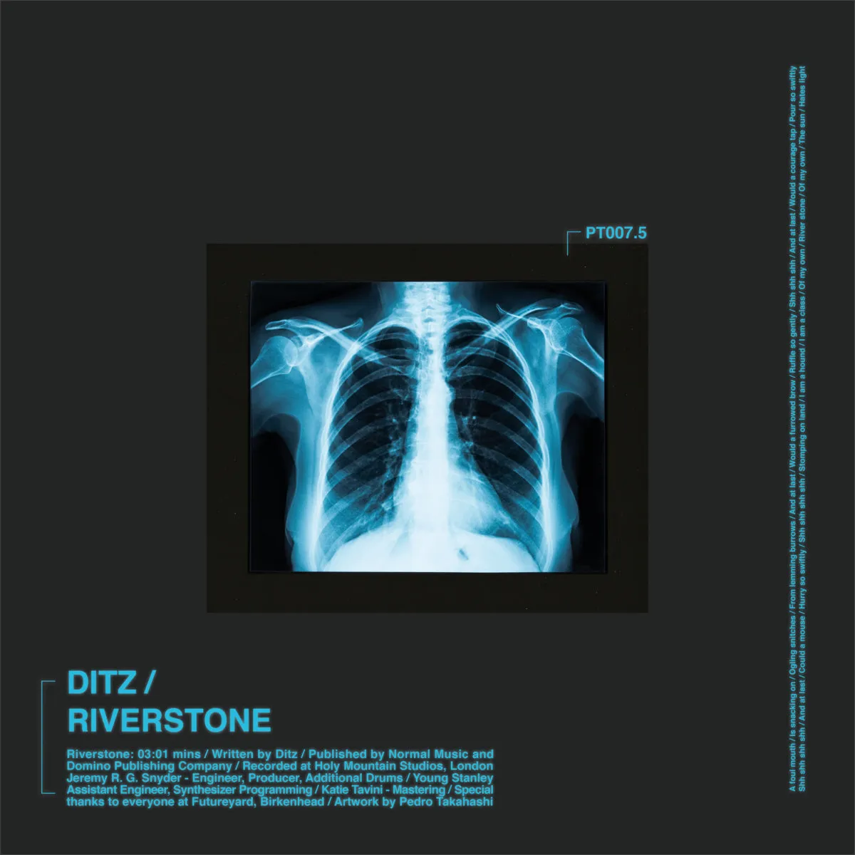 <strong>DITZ - Riverstone</strong> (Vinyl 7)