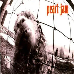 <strong>Pearl Jam - Vs</strong> (Vinyl LP)