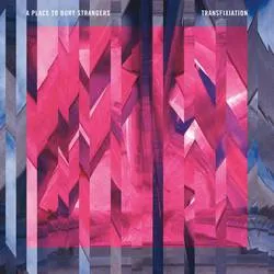 <strong>A Place To Bury Strangers - Transfixiation</strong> (Vinyl LP)