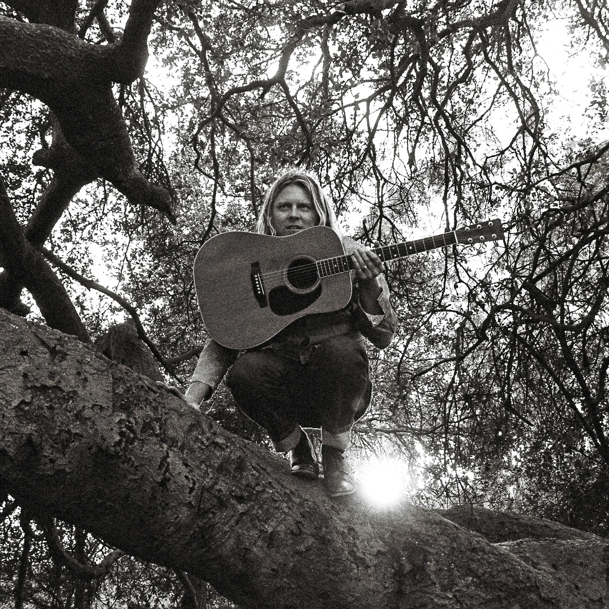 <strong>Ty Segall - Hello, Hi</strong> (Cd)