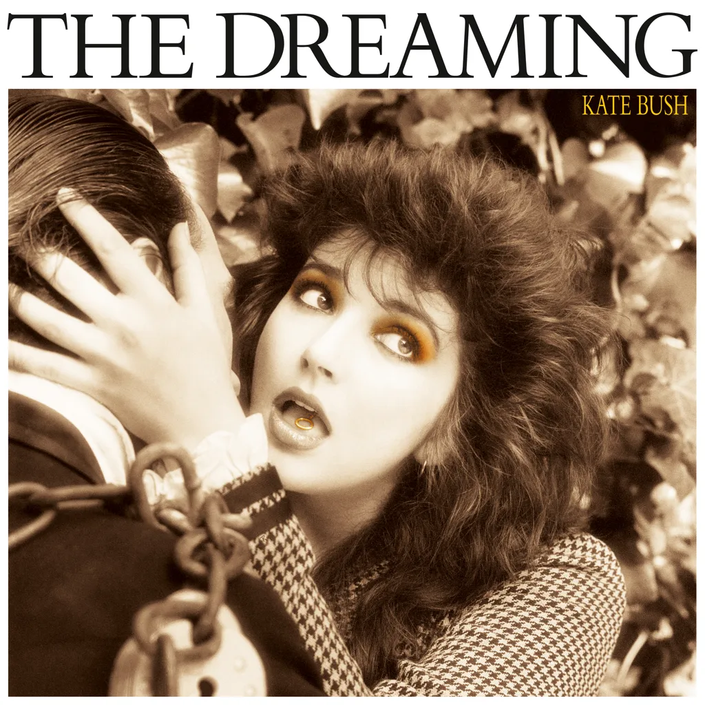 Dreamer lp