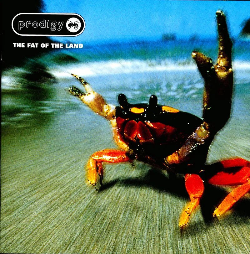 <strong>The Prodigy - The Fat Of The Land</strong> (Vinyl LP - black)