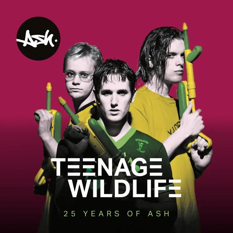 Buy Teenage Wildlife: 25 Years Of Ash via Rough Trade
