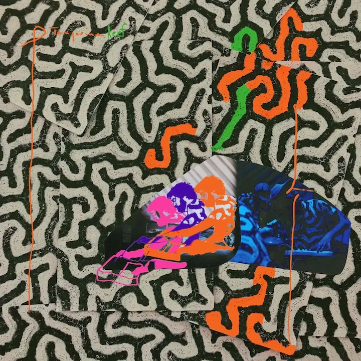 Animal Collective - Tangerine Reef artwork