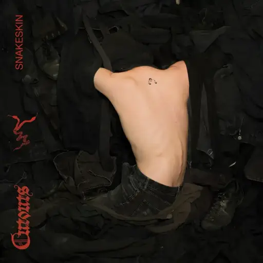 Album art