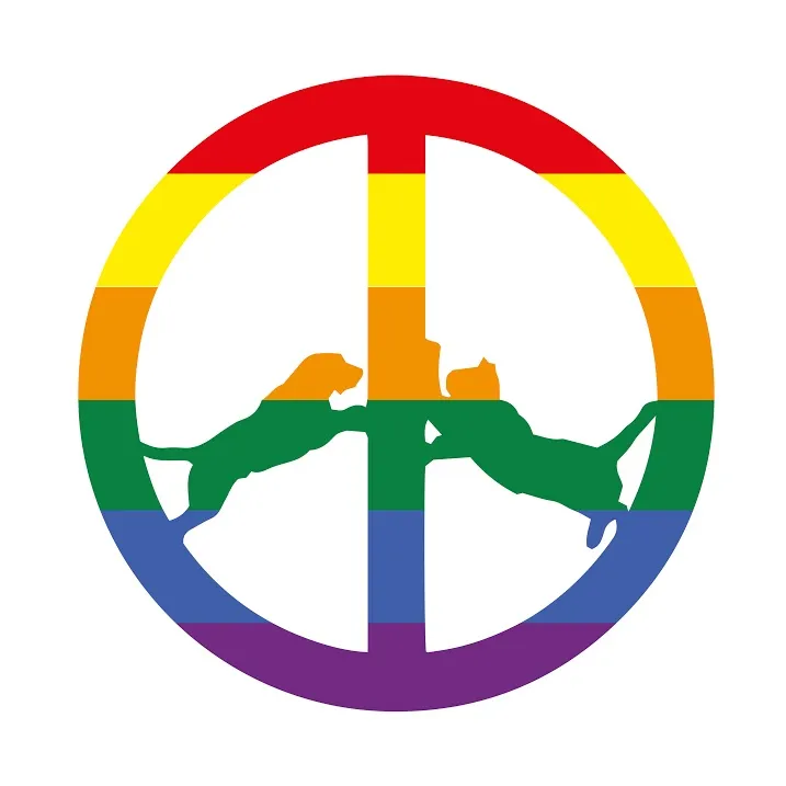 <strong>Hype Williams - Rainbow Edition</strong> (Cd)