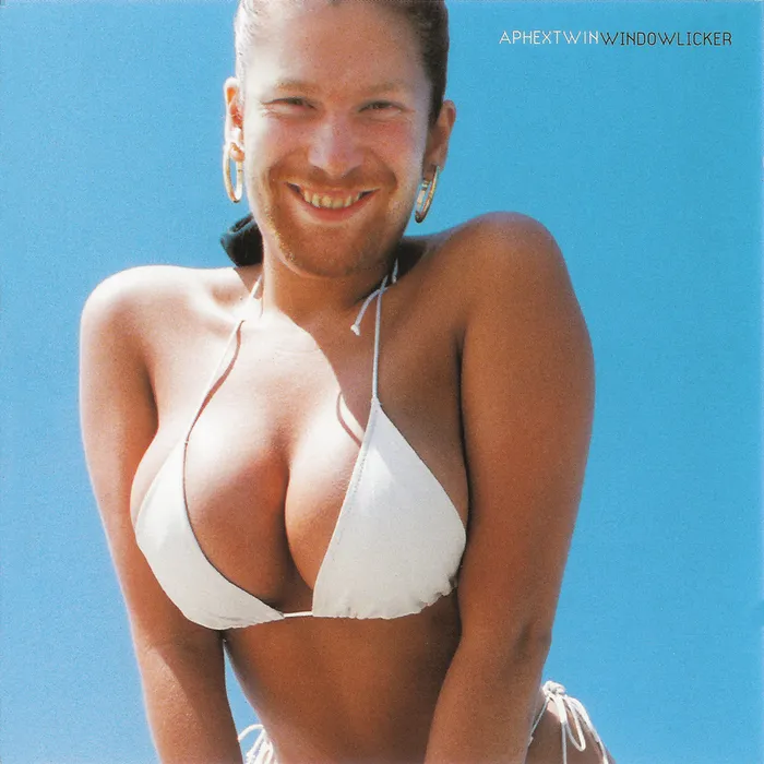<strong>Aphex Twin - Windowlicker</strong> (Vinyl 12 - black)