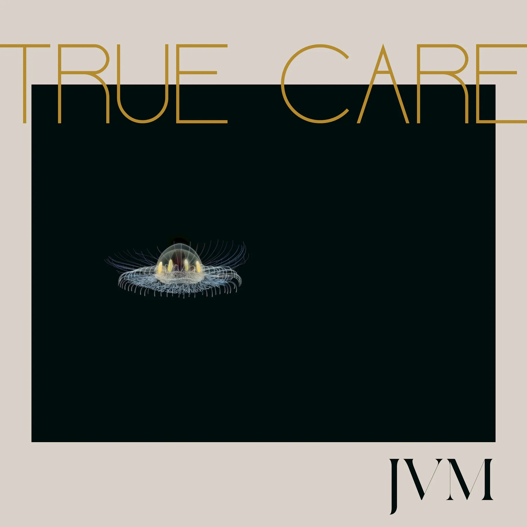 <strong>James Vincent McMorrow - True Care</strong> (Vinyl LP - black)