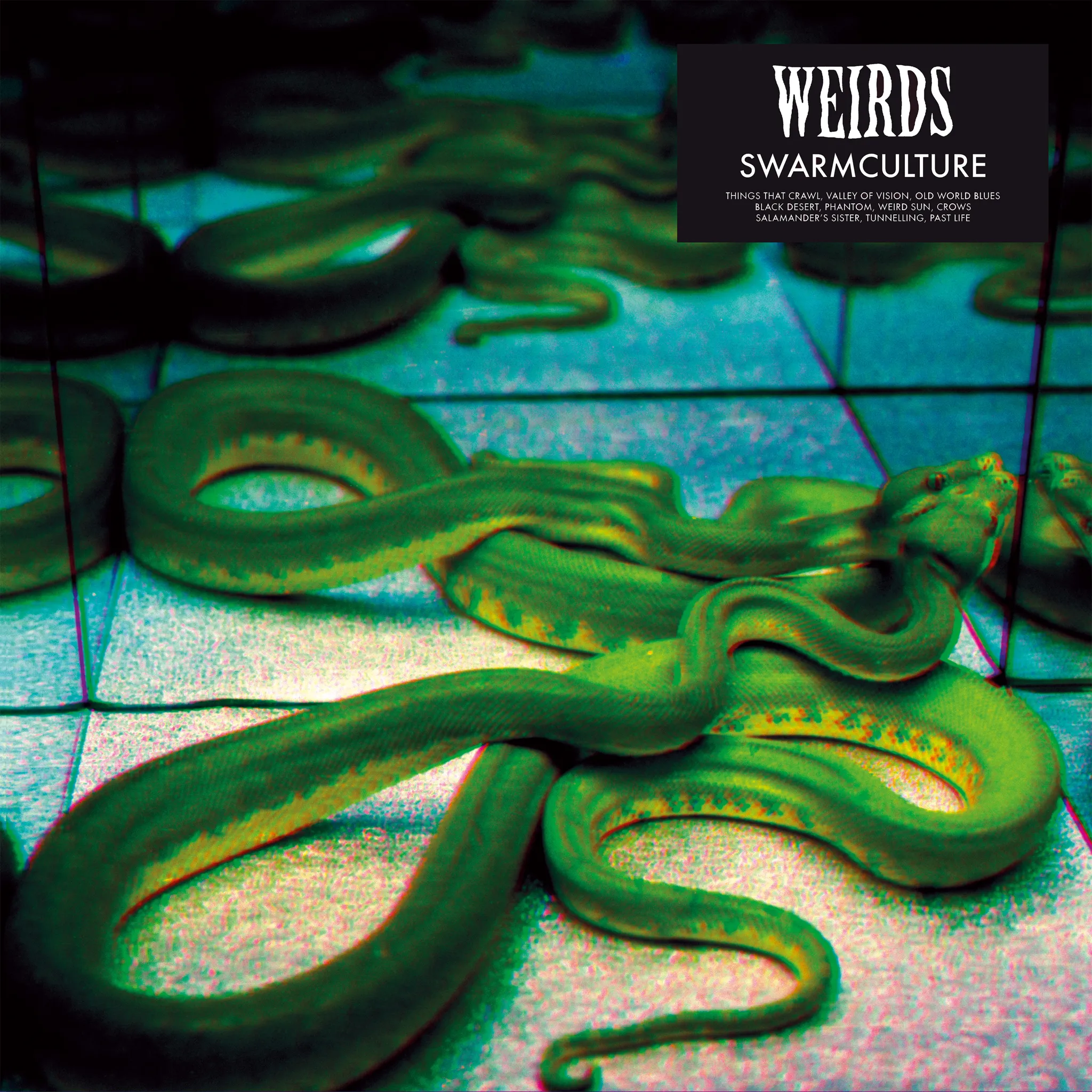 <strong>Weirds - Swarmculture</strong> (Vinyl LP)