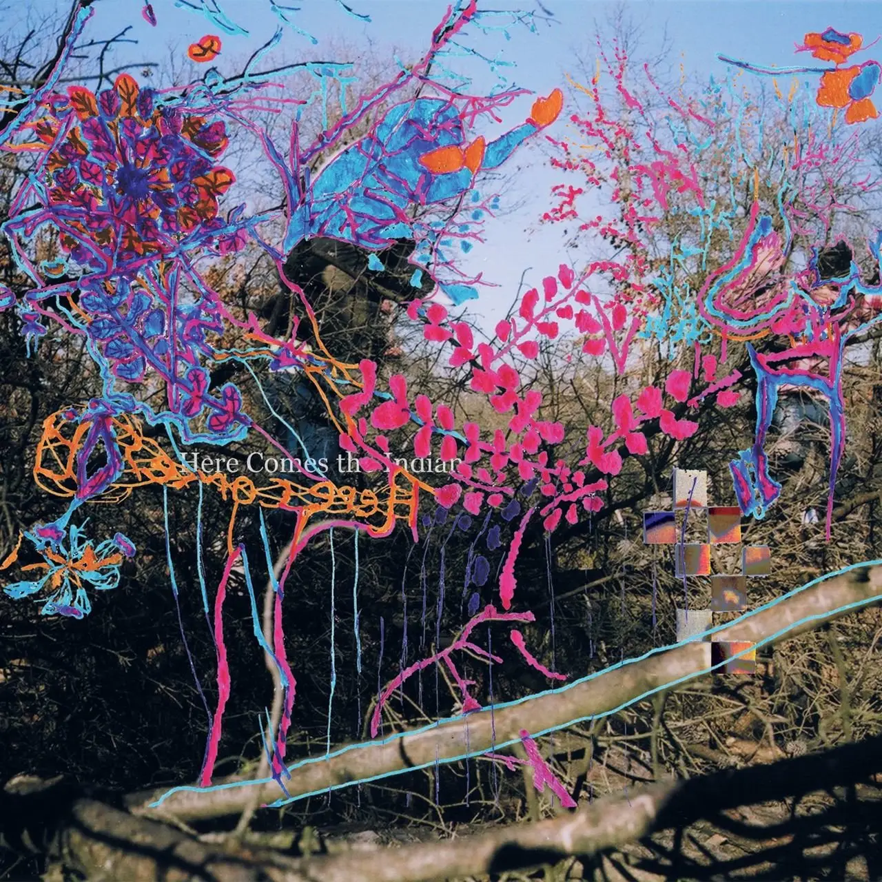 Animal Collective - Here Comes The Indian artwork