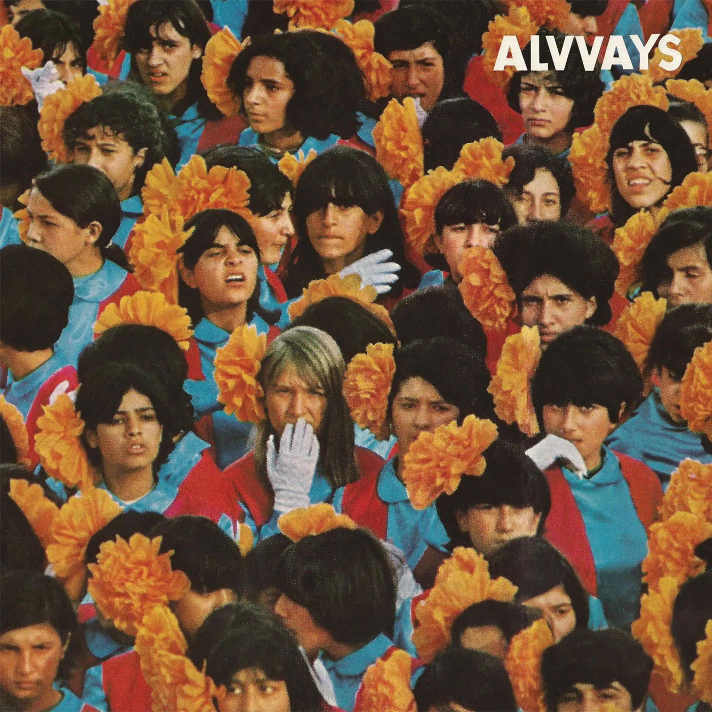Buy Alvvays via Rough Trade