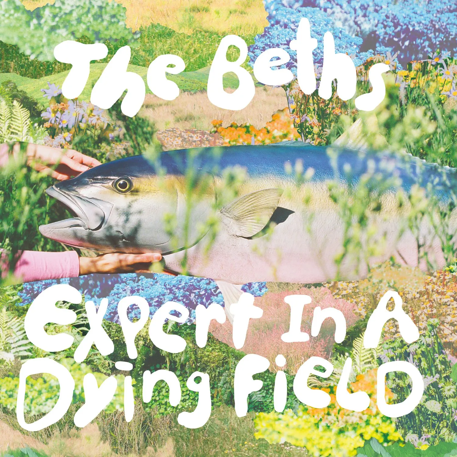 <strong>The Beths - Expert In A Dying Field</strong> (Cd)