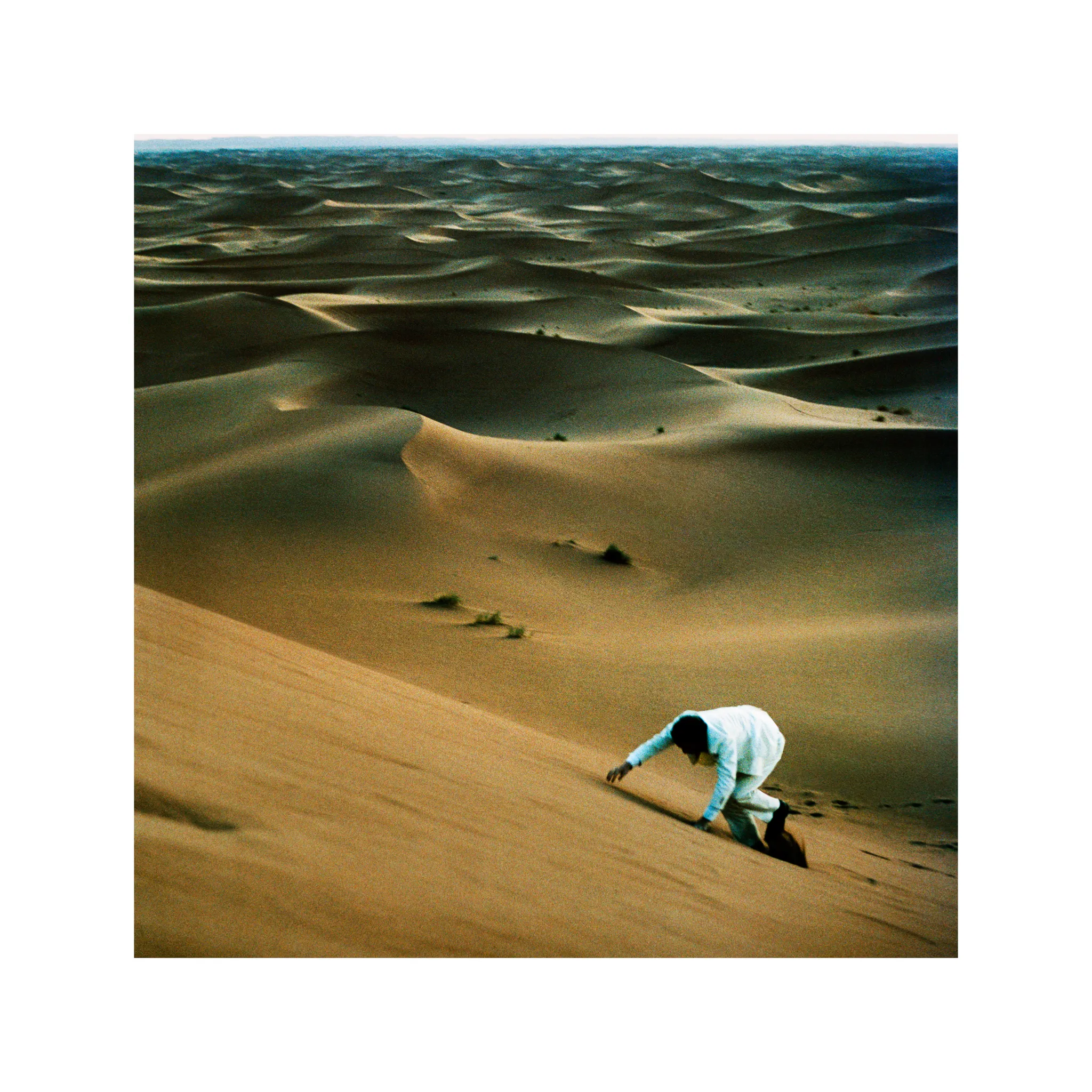<strong>Baxter Dury - Prince of Tears</strong> (Cd)