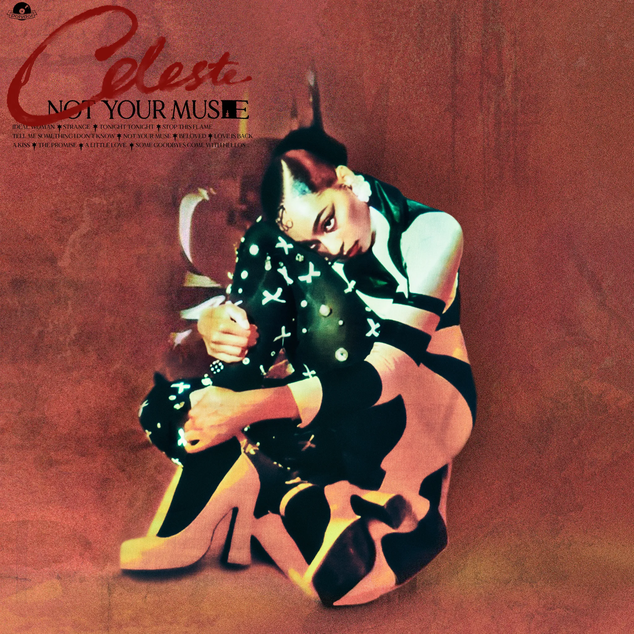 <strong>Celeste - Not Your Muse</strong> (Vinyl LP - black)