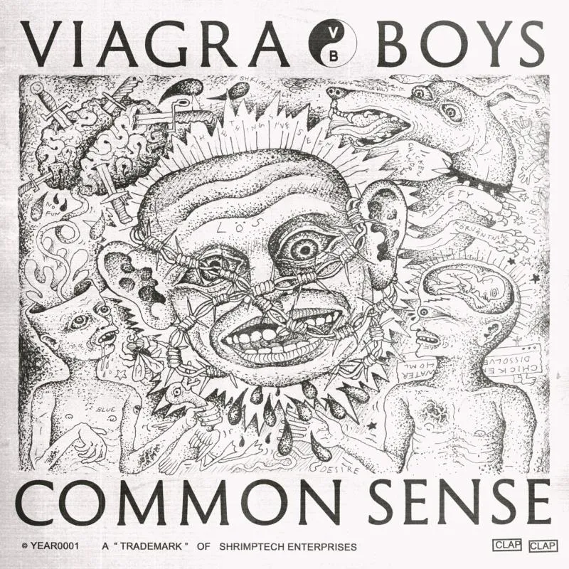 <strong>Viagra Boys - Common Sense</strong> (Vinyl 12 - black)