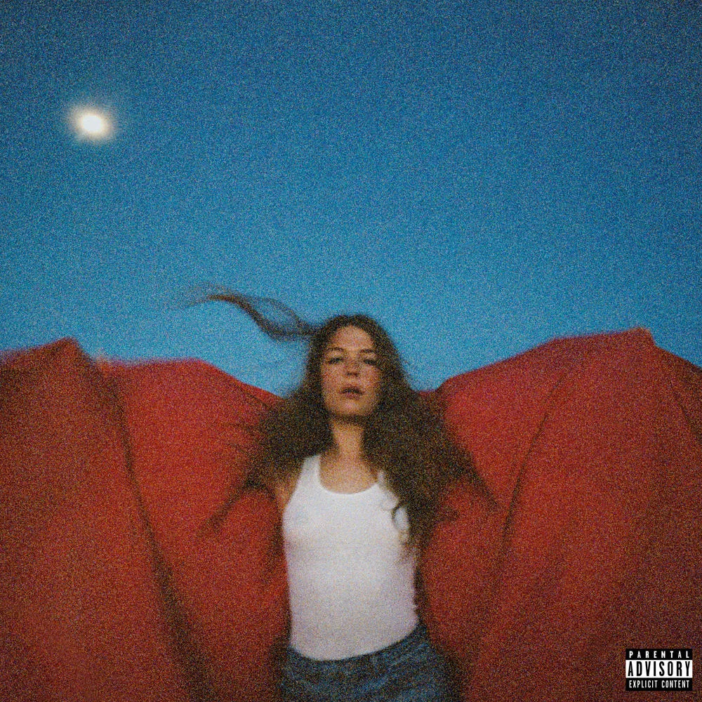 Maggie Rogers - Heard It In A Past Life artwork